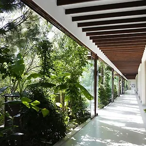 The Lifeco Bodrum Well-being Detox Center And Vegan (adults Only) 3* Golturkbuku